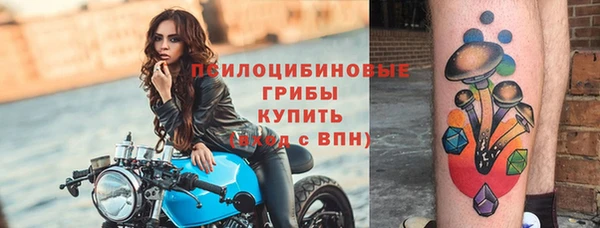 ECSTASY Армянск