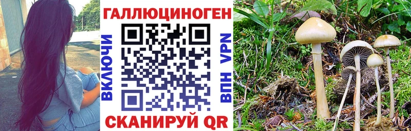 Псилоцибиновые грибы Magic Shrooms  Лермонтов 